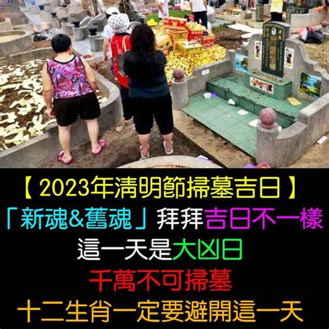 2023 清明掃墓吉日|2023年清明節掃墓吉日吉時曝光！命理師一篇文揭哪些日子不能。